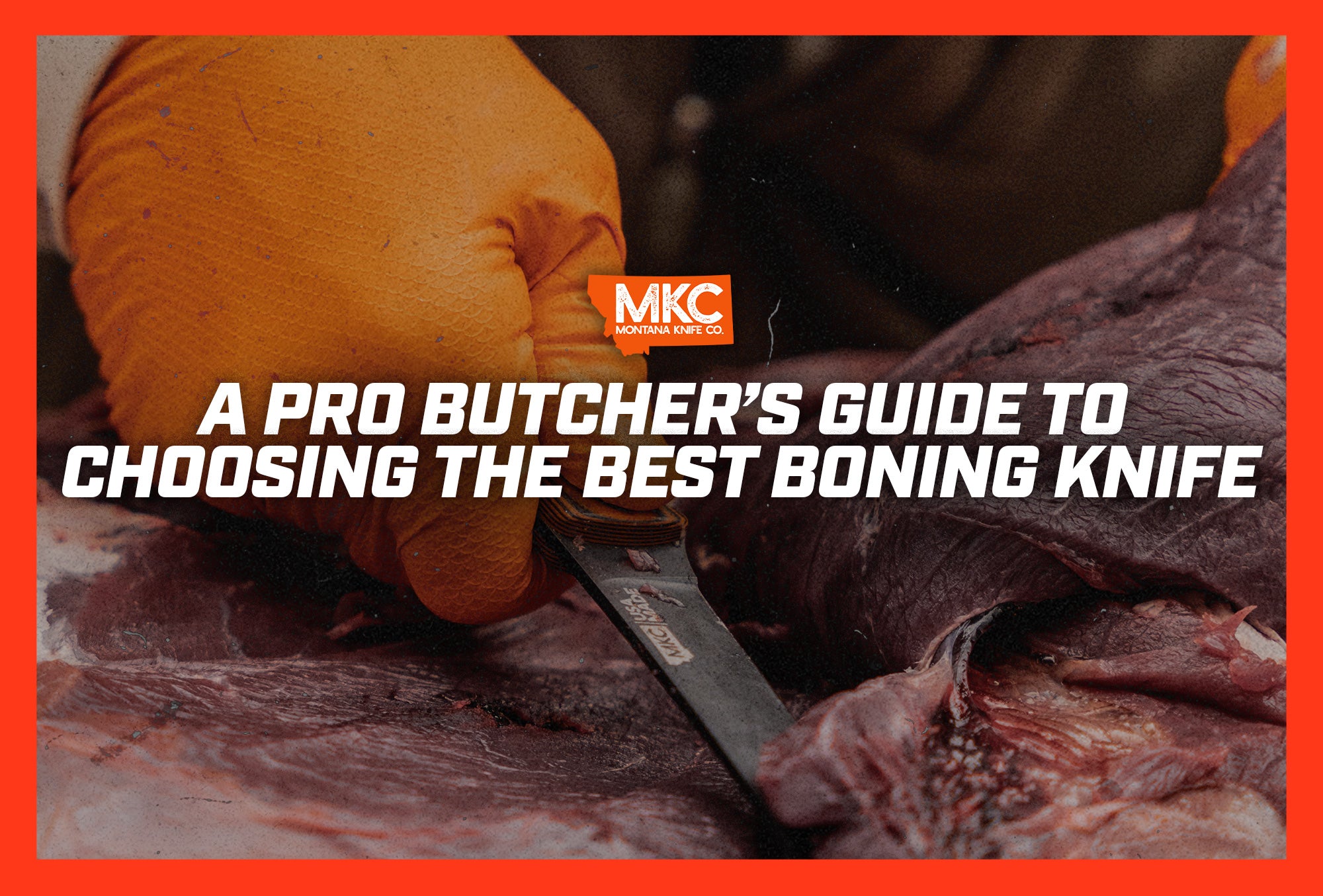A man’s orange-gloved hand uses his best boning knife to butcher an animal carcass. 