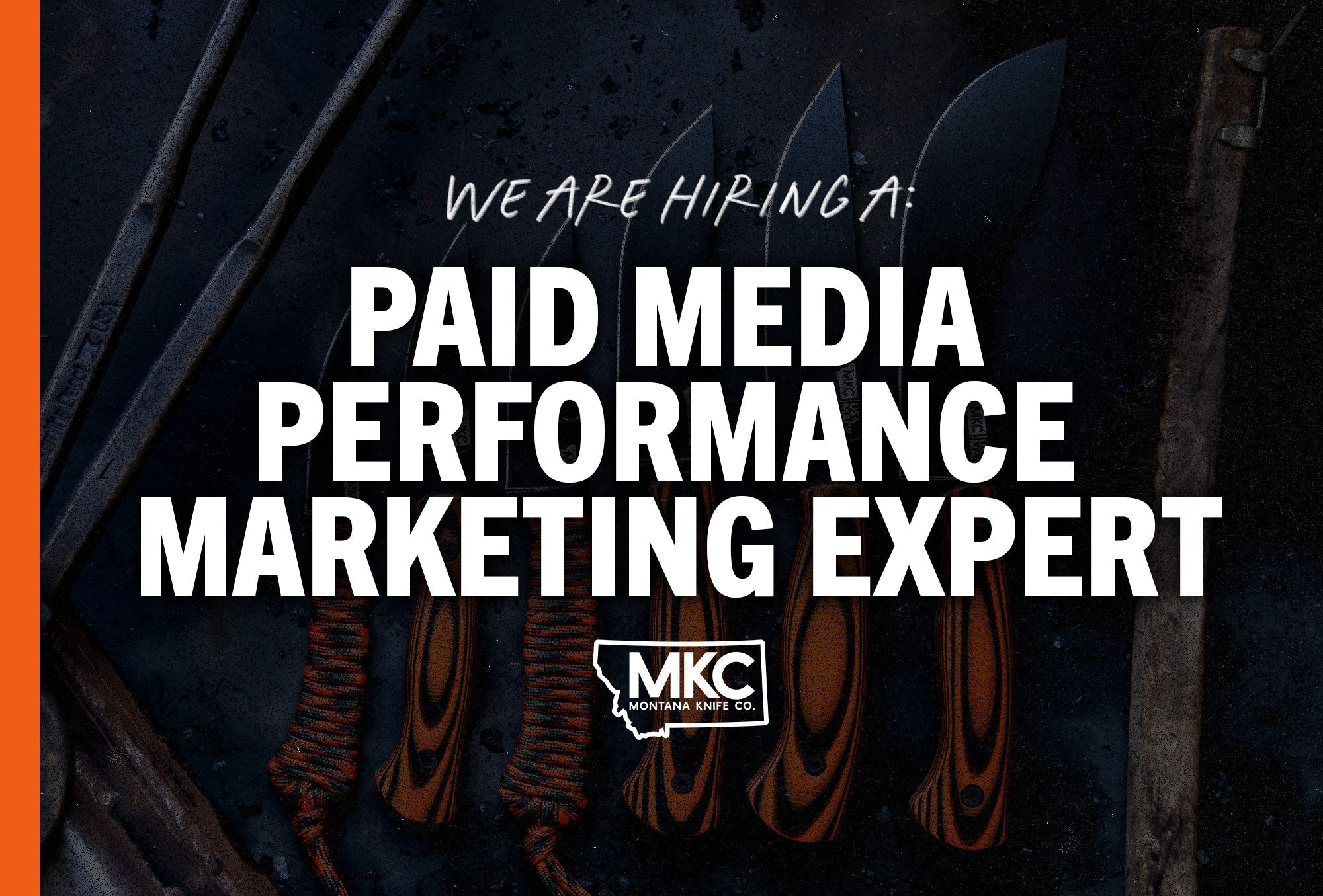 Paid Media/Performance Marketing Expert
