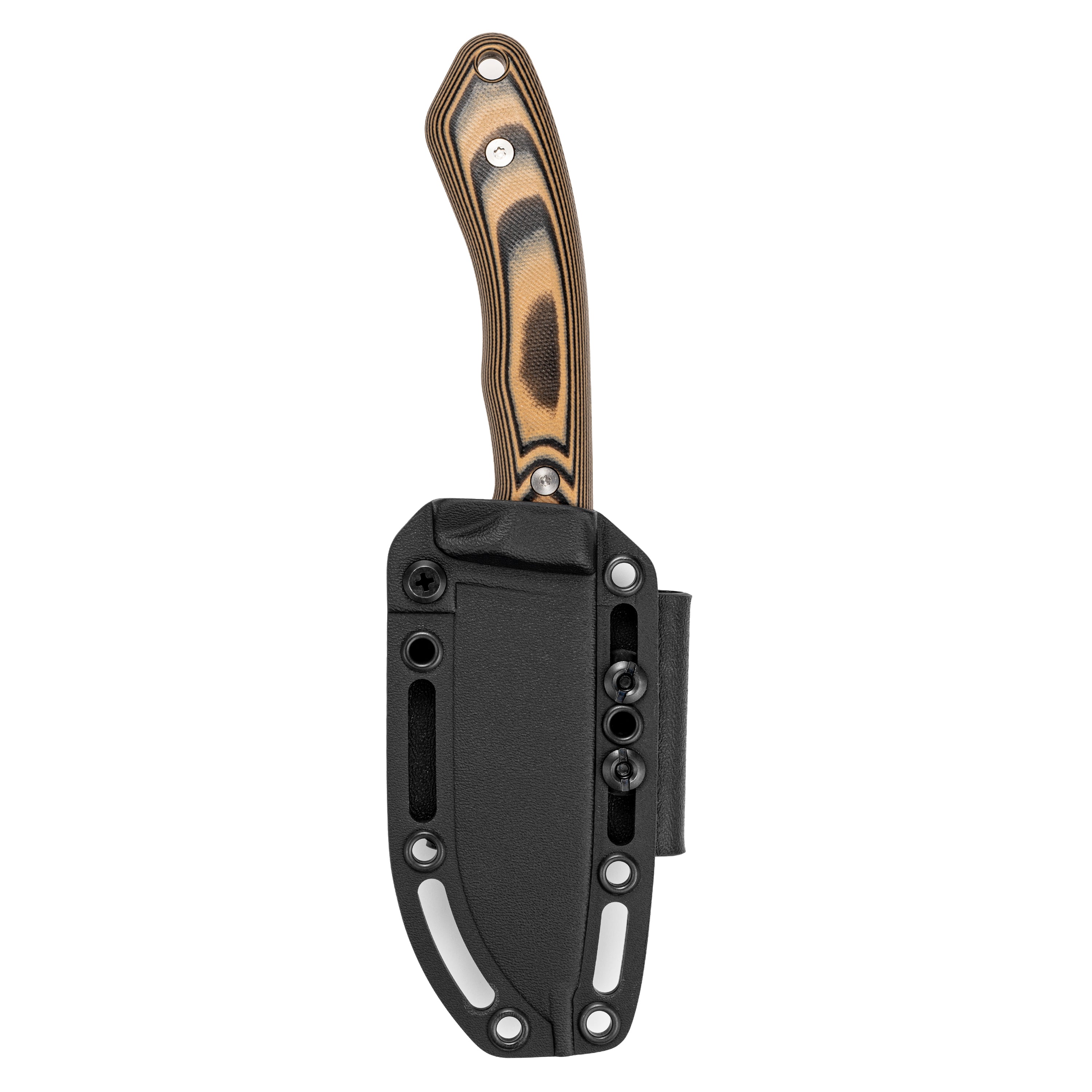 MULE DEER - TAN & BLACK