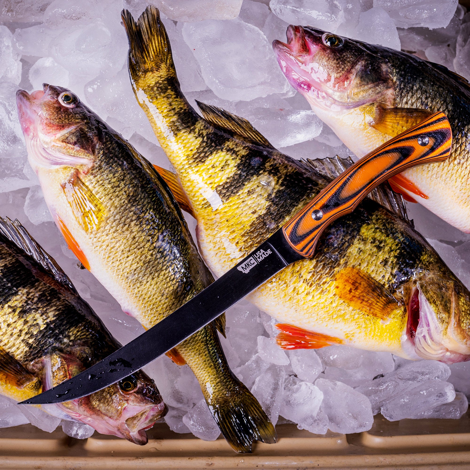 FLATHEAD FILLET - ORANGE & BLACK
