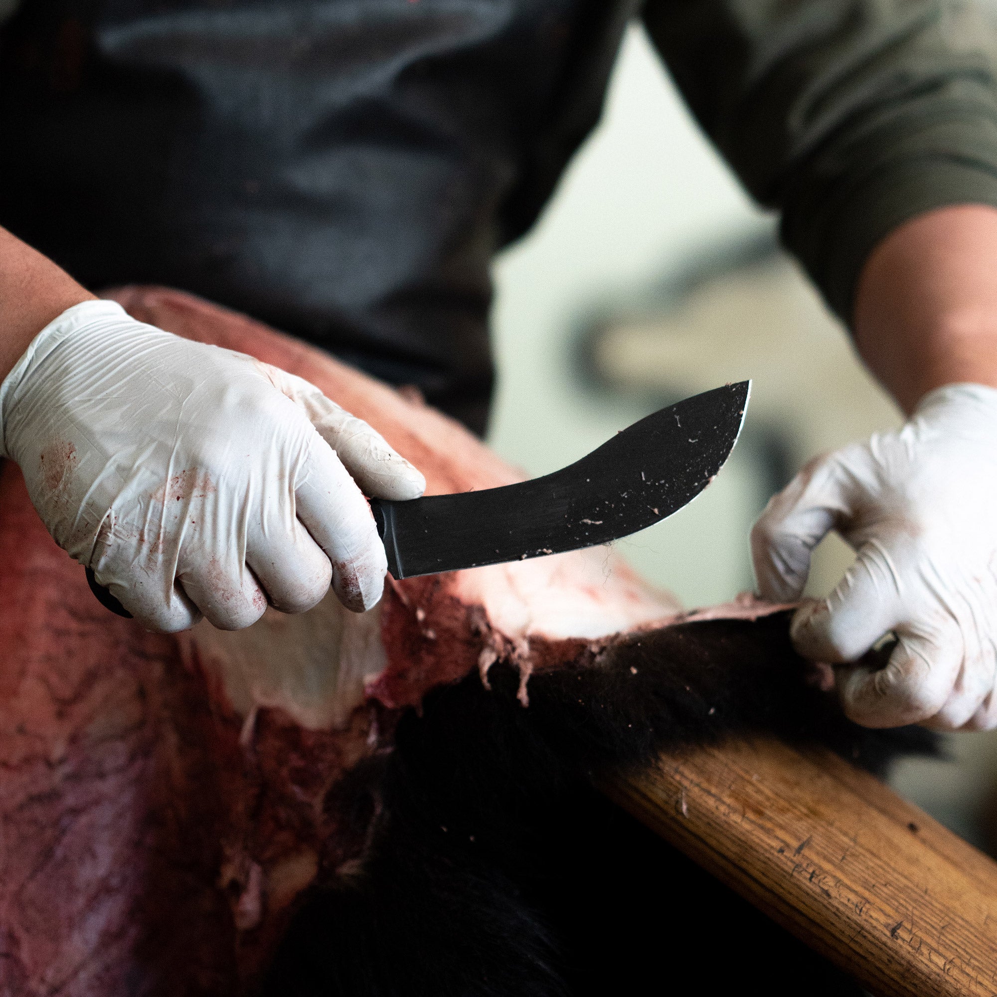 A person wearing gloves using a Beartooth Pro Skinning Blade in black to skin an animal on a wooden surface.