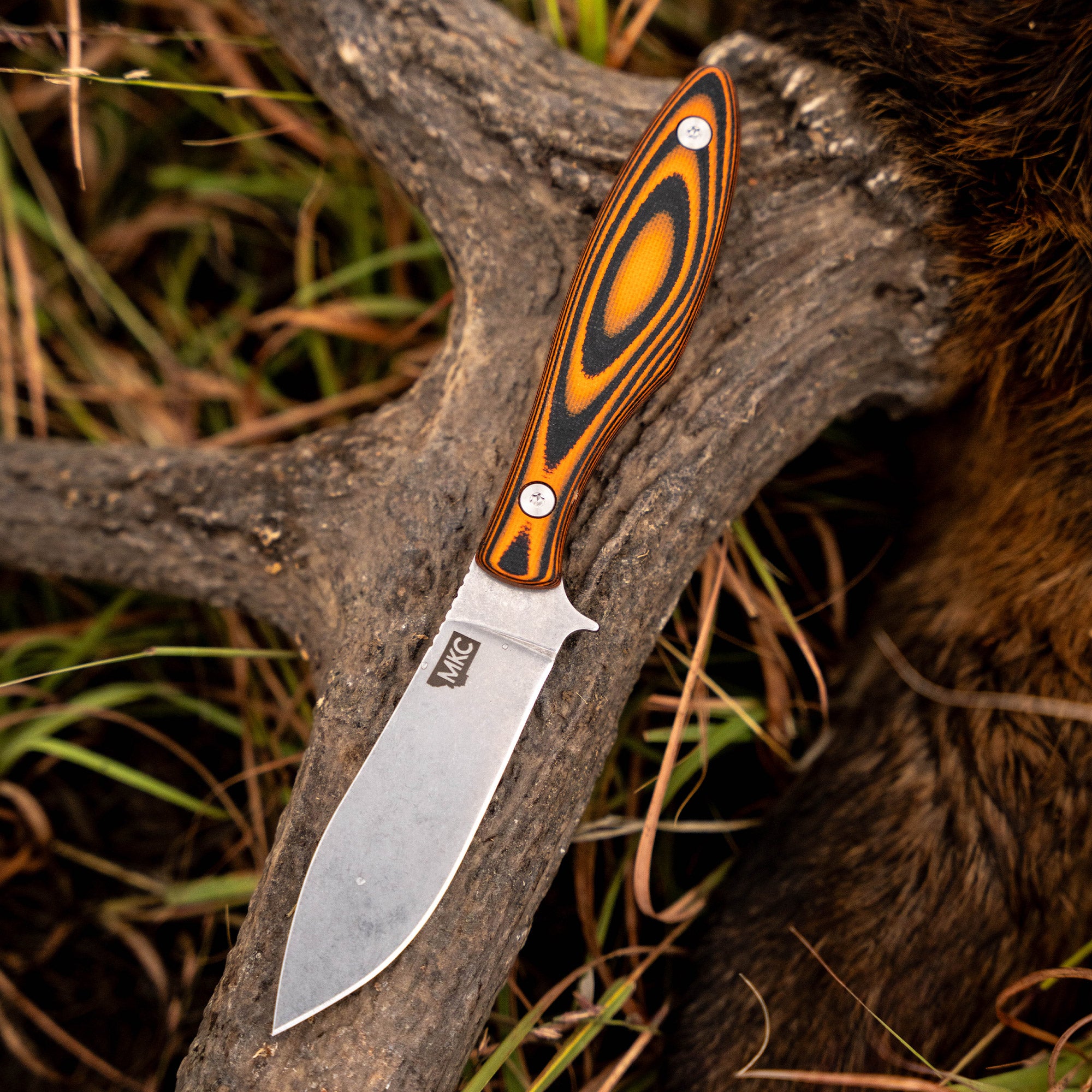 JACKSTONE - ORANGE AND BLACK