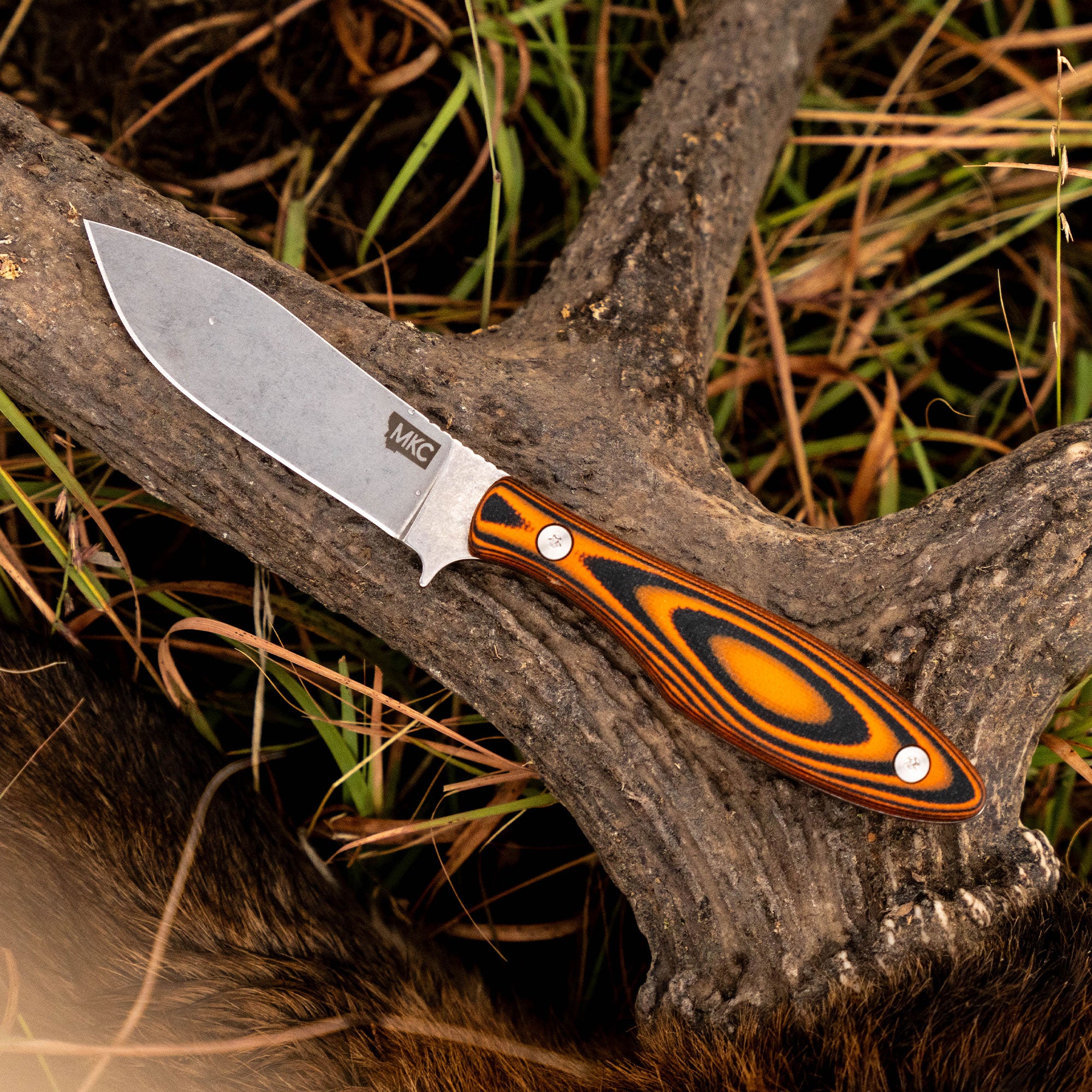 JACKSTONE - ORANGE AND BLACK