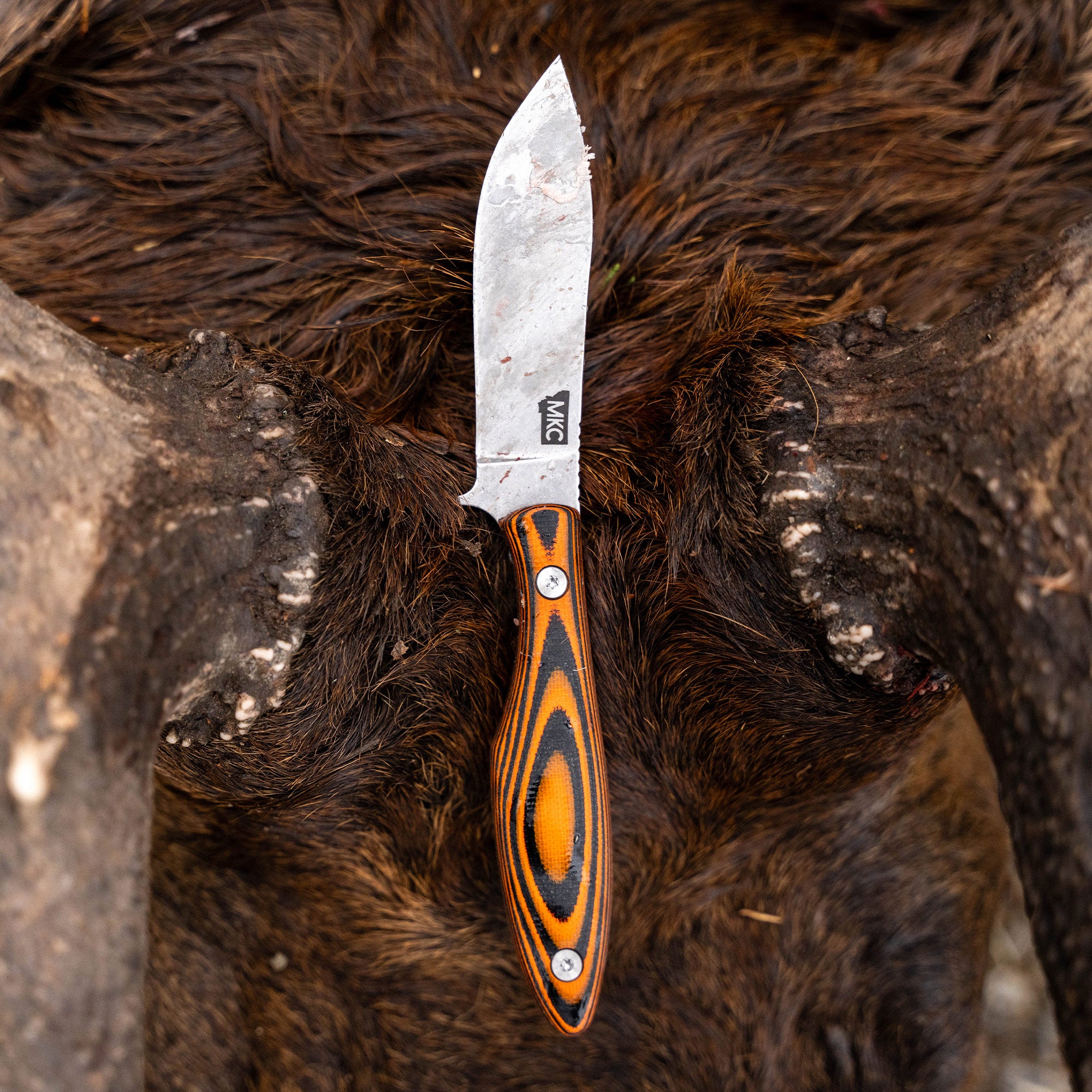 JACKSTONE - ORANGE AND BLACK