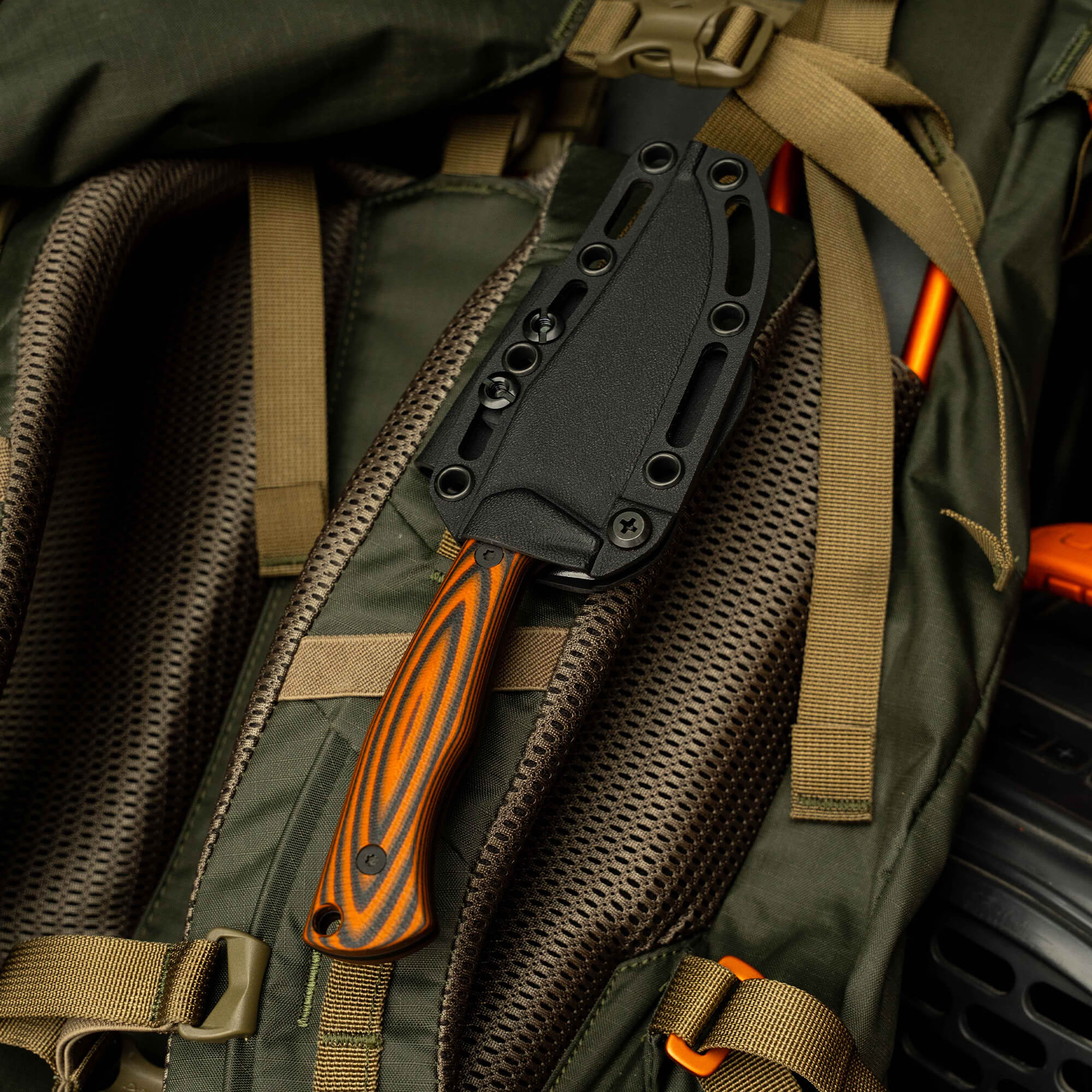 NOCK ON - TRIUMPH PRO - EARLY ACCESS