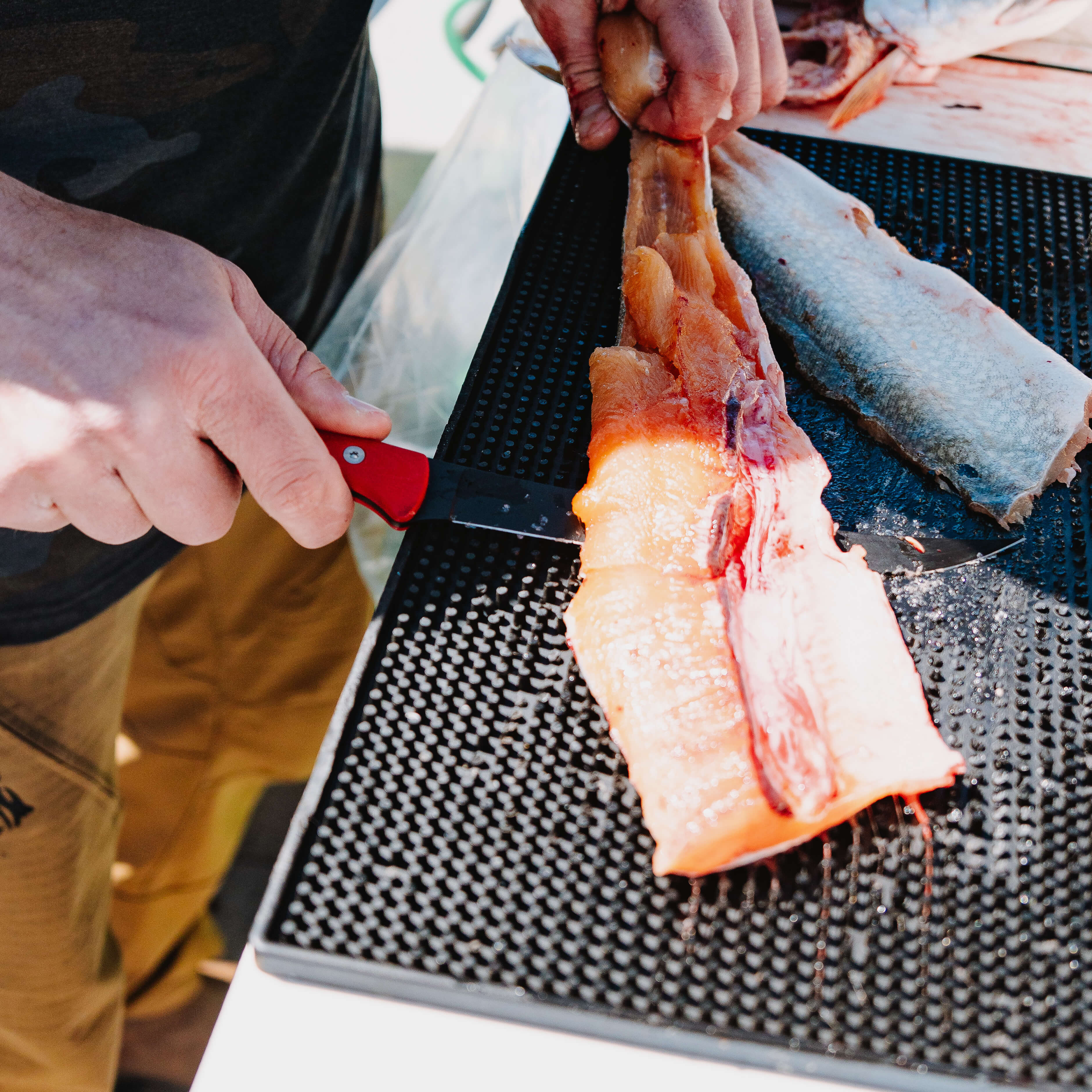 FLATHEAD FILLET - RED