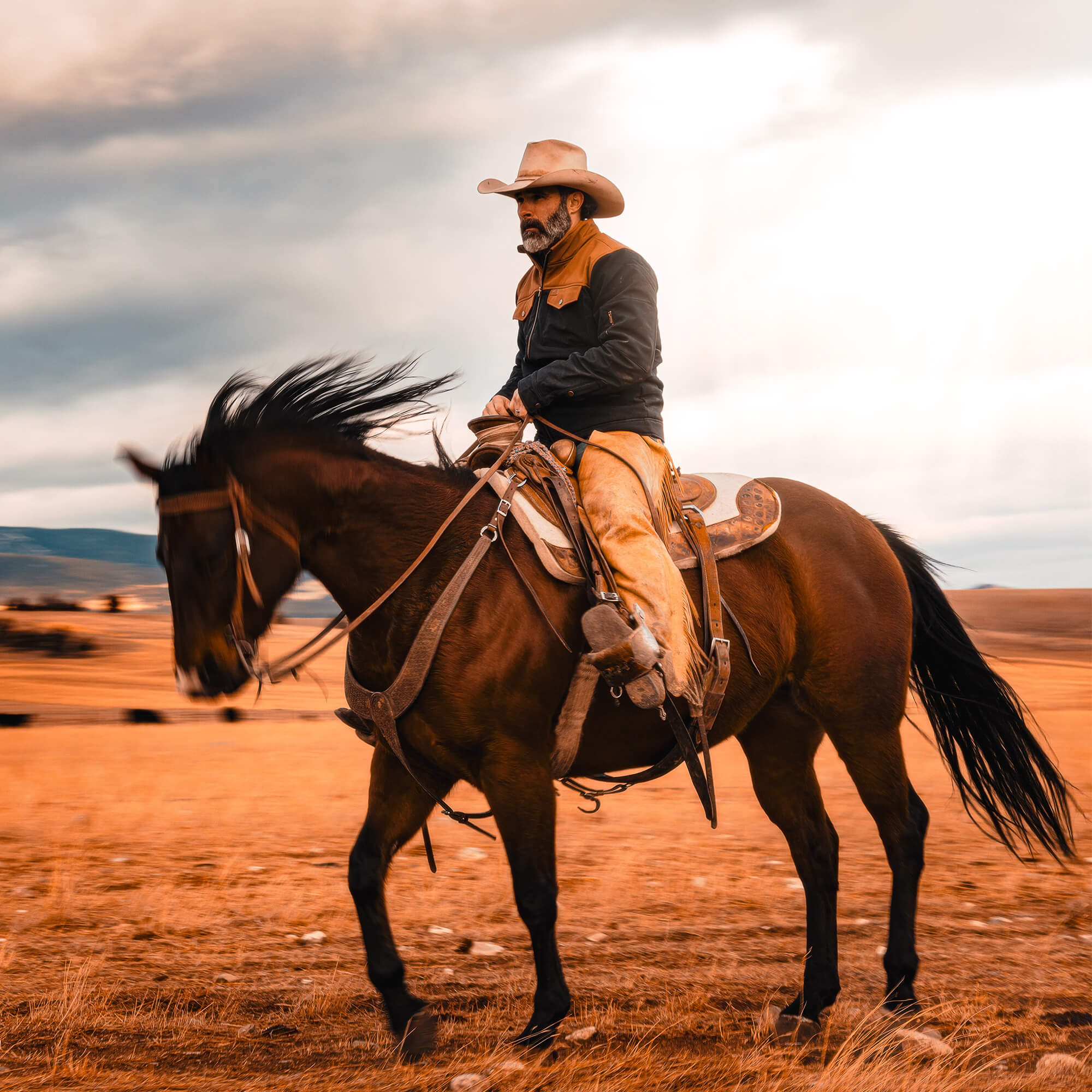 AUGUSTA JACKET - BLACK/COYOTE