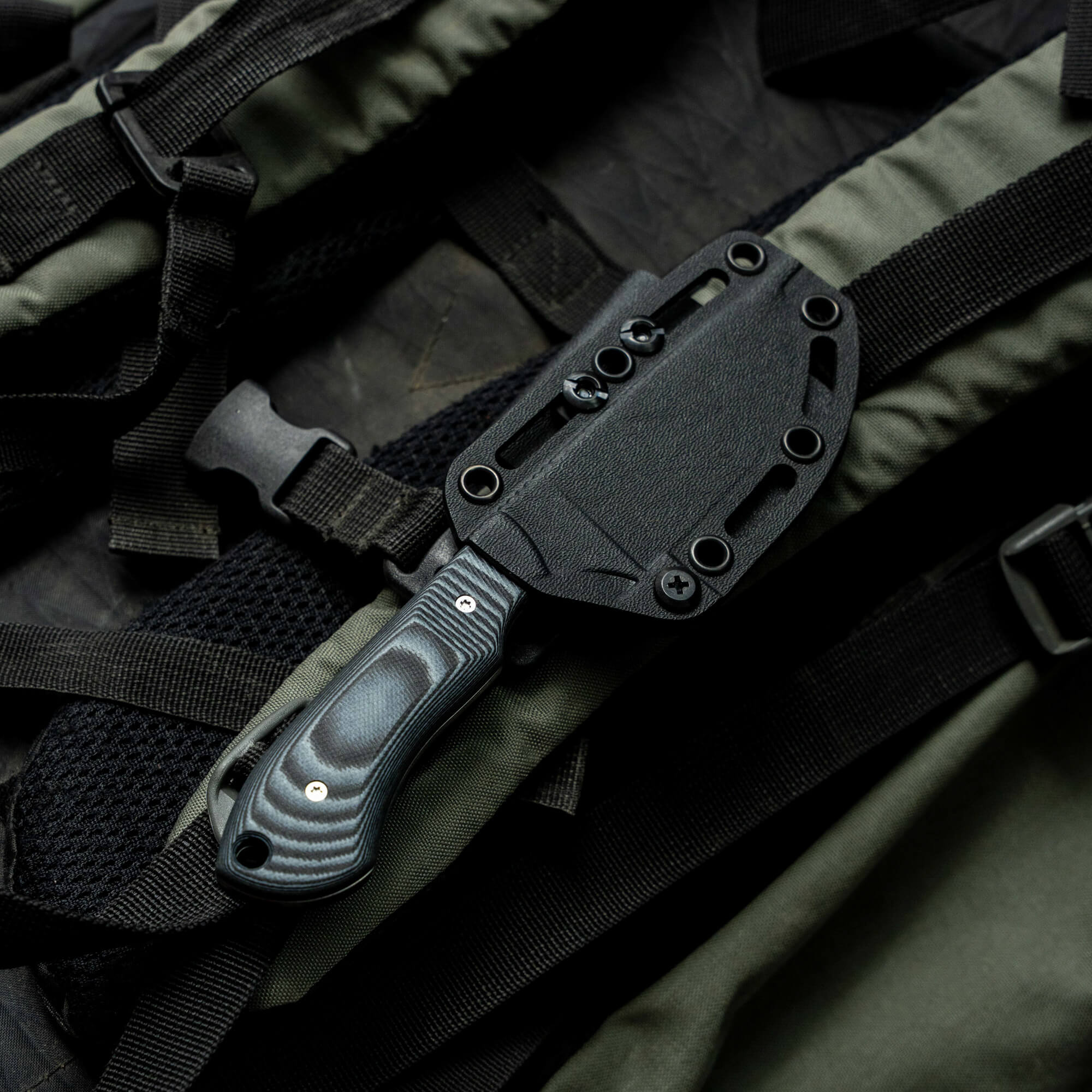 ELKHORN SKINNER - LIVE WILD EDITION - GREY & BLACK