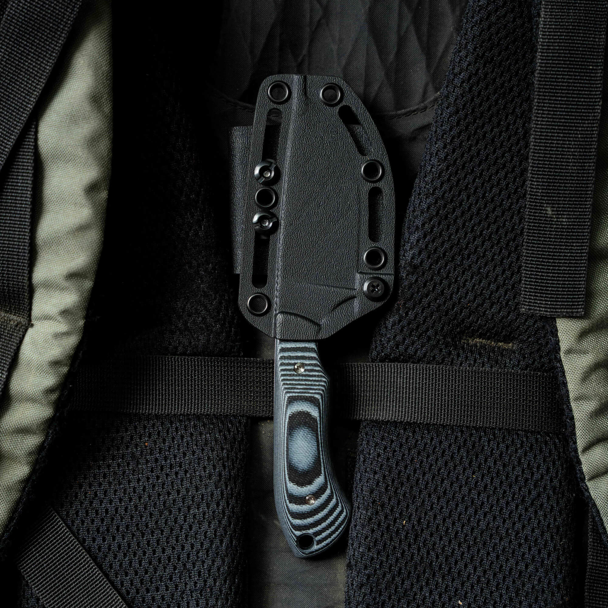 ELKHORN SKINNER - LIVE WILD EDITION - GREY & BLACK