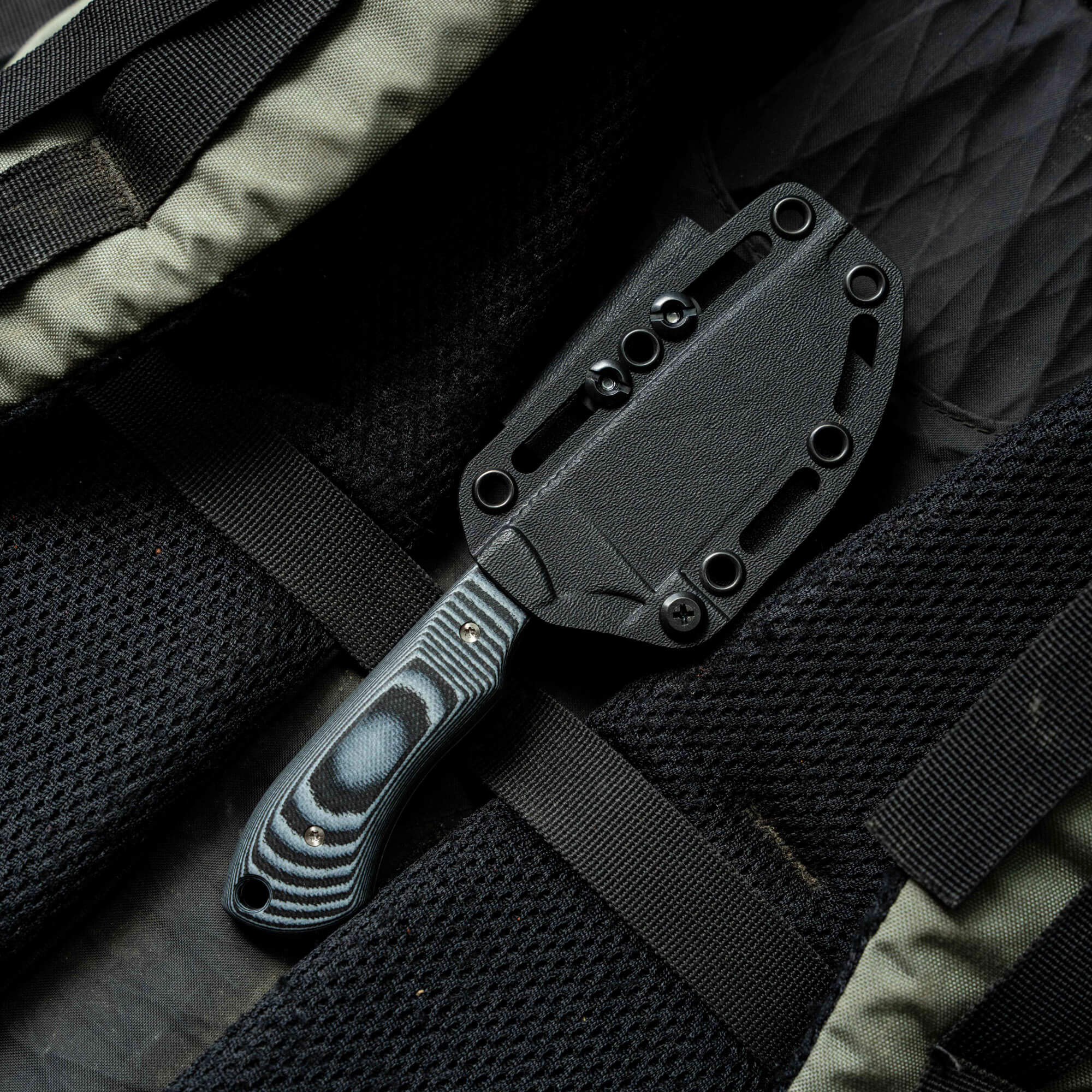 ELKHORN SKINNER - LIVE WILD EDITION - GREY & BLACK